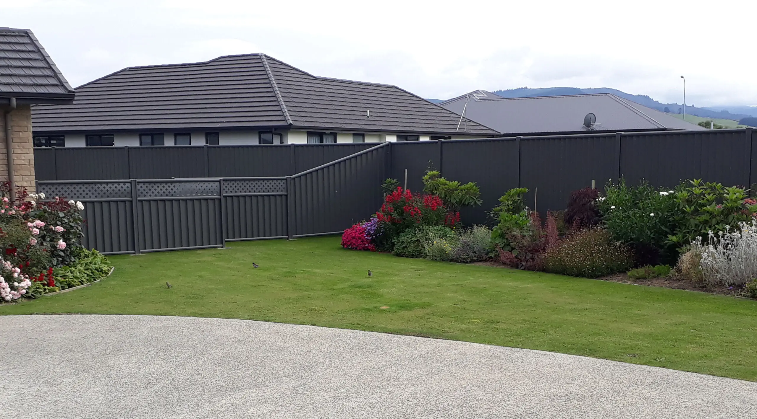 Woodland Grey Colorbond fence with lattice-topped panels around a garden in Mosgiel
